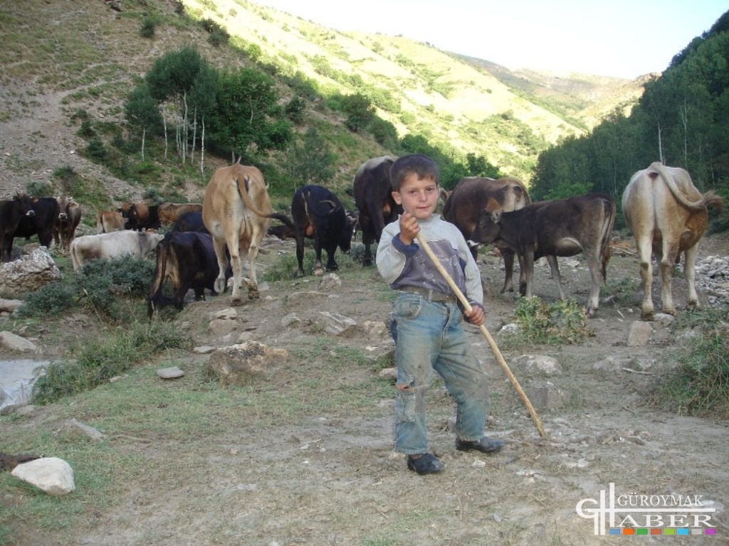 Güroymak ilçesine bağlı köy ve belde resimleri (Karma)