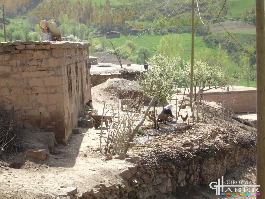 Yemişveren (Balekan)