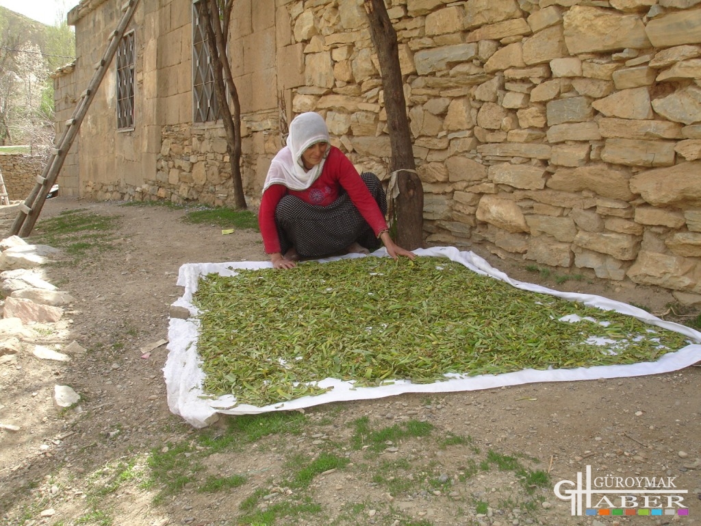 Yemişveren (Balekan)