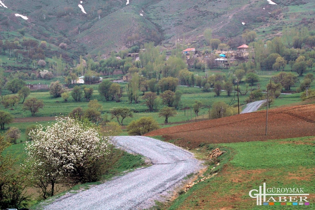 Yamaç (Pav)